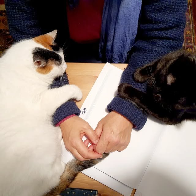 Gülcan Arpacıoğlu Instagram Post