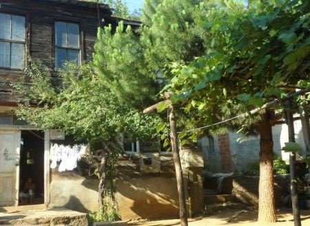 Bilgi bağımlılığı ve meditasyon