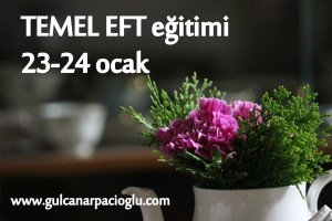 Temel EFT eğitimi