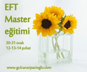 EFT Master İstanbul 2016